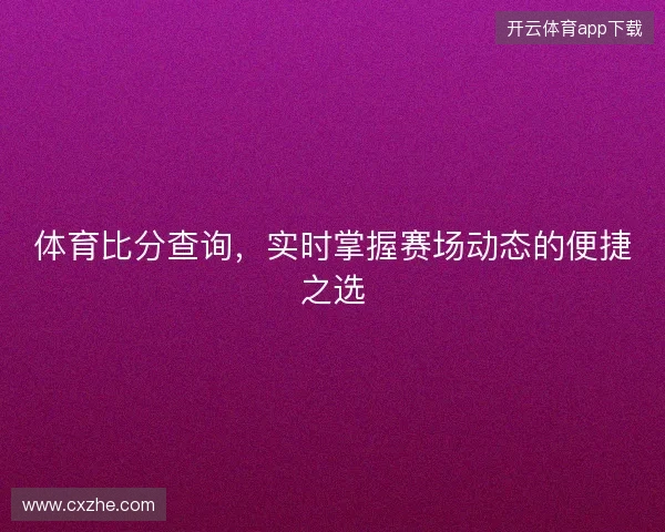 体育比分查询，实时掌握赛场动态的便捷之选