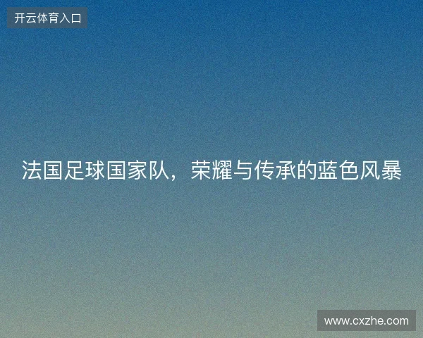 法国足球国家队，荣耀与传承的蓝色风暴